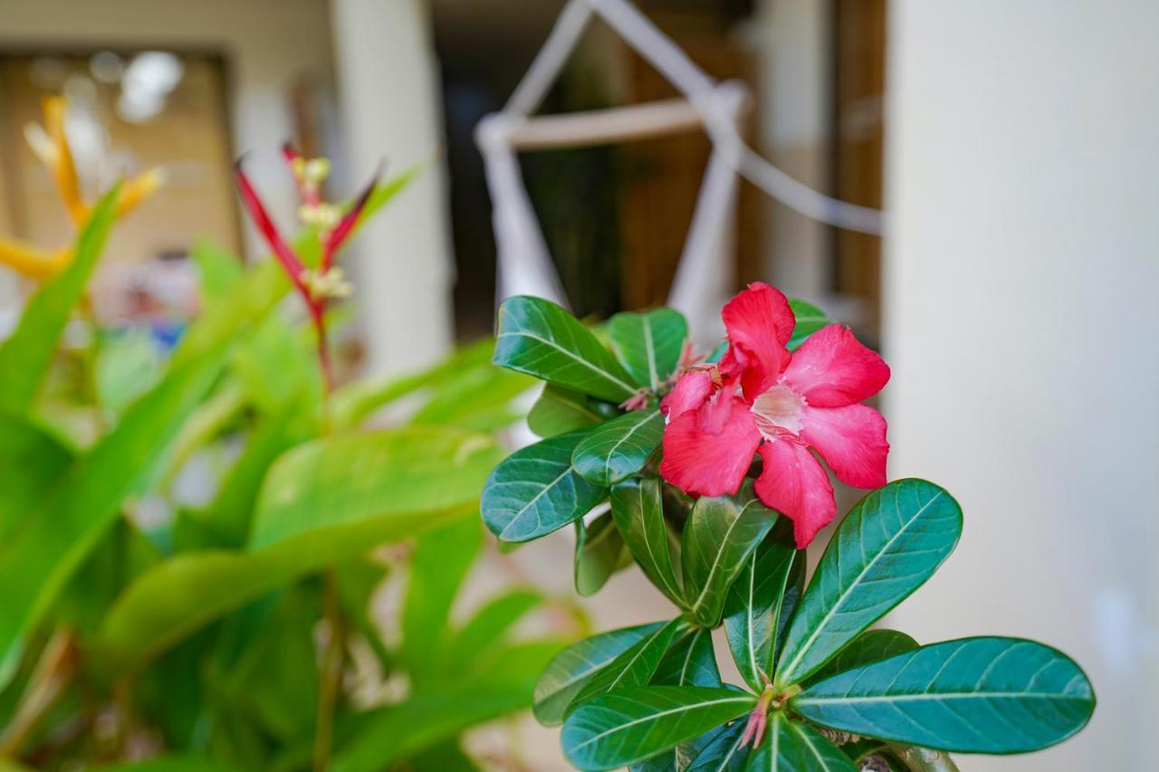 Royal Cottage Residence Lamai Beach  Esterno foto